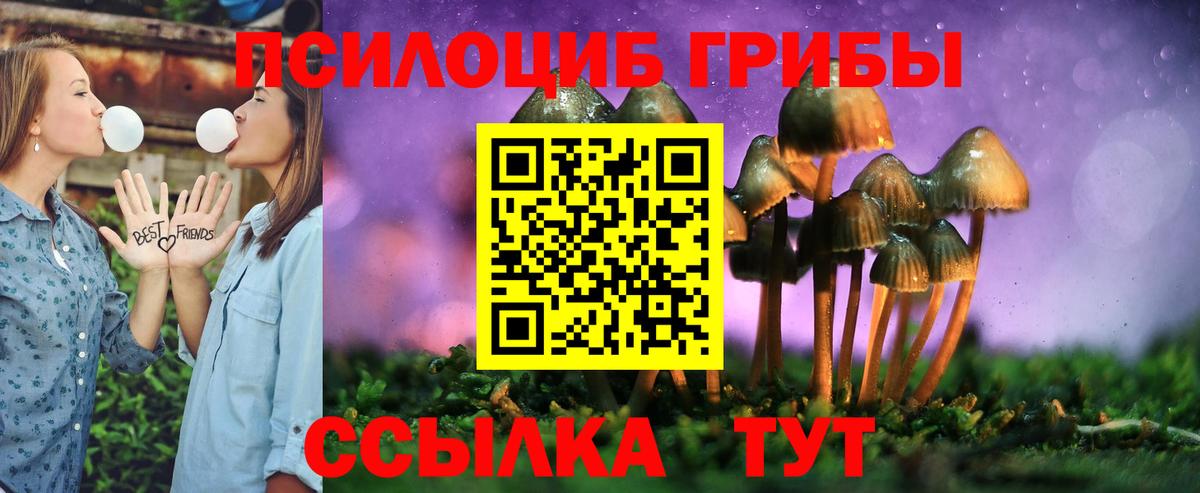 Лабытнанги  Галлюциногенные грибы Psilocybe  Вход с VPN 